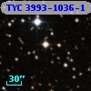 TYC 3993-1036-1