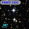 FAUST 2132
