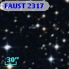FAUST 2317