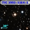 TYC 3993-1164-1