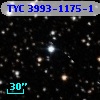 TYC 3993-1175-1
