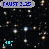 FAUST 2125