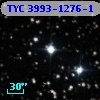 TYC 3993-1276-1