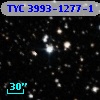 TYC 3993-1277-1