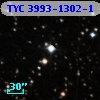 TYC 3993-1302-1