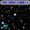 TYC 3993-1308-1