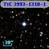 TYC 3993-1310-1
