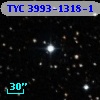 TYC 3993-1318-1