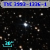 TYC 3993-1336-1