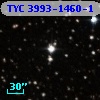 TYC 3993-1460-1
