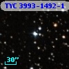 TYC 3993-1492-1