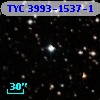 TYC 3993-1537-1