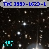 TYC 3993-1623-1