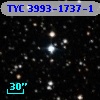 TYC 3993-1737-1
