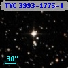 TYC 3993-1775-1