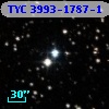 TYC 3993-1787-1