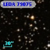 LEDA   79075