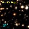 V* BX Pup