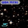 LEDA   78791