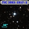 TYC 3993-1917-1