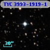 TYC 3993-1919-1