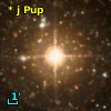 * j Pup