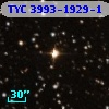 TYC 3993-1929-1