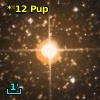 *  12 Pup