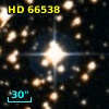 HD  66538