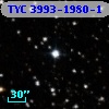 TYC 3993-1980-1