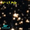 V* LT Pup