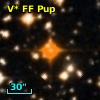 V* FF Pup