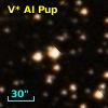 V* AI Pup