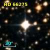 HD  66275