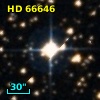 HD  66646