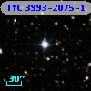 TYC 3993-2075-1