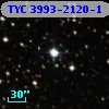 TYC 3993-2120-1