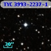 TYC 3993-2237-1