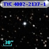 TYC 4002-2137-1