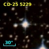 CD-25  5229