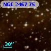 NGC  2467    75