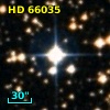 HD  66035