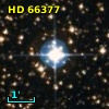 HD  66377