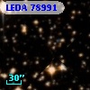 LEDA   78991