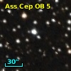 Ass Cep OB   5-