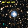 HD  66181