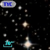 TYC 6561-1768-1