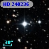 HD 240236