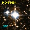 HD  66454