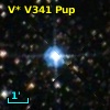 V* V341 Pup